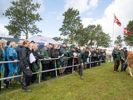 Et interesseret og fornuftigt påklædt publikum ved den store ring.