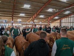 Fredag eftermiddag var der regionskonkurrence – den foregik i enden af den ene af limousinestaldene.