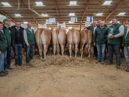 Vinderne blev: Region Midt. Udstillere fra Region Midt har her taget opstilling sammen med vinderdyrene i  regionskonkurrencen.