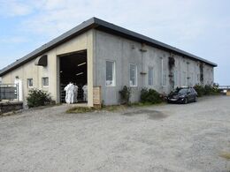 Andet besøg hos Magne Skagen ,  her hans stald