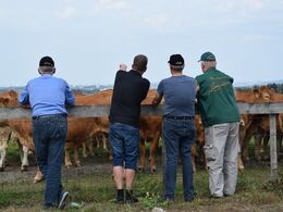 Der snakkes limousiner