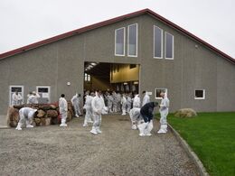 Besøg hos Andreas Aarsvold, igen i det fine tøj