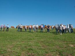 Rebekka fortæller ivrigt videre om afstamninger mm.