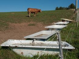 Her de forbundne badekar, som udgør dyrenes vandkar