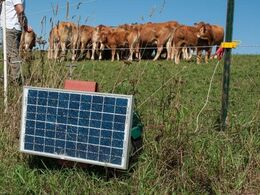 Elektrisk hegn drevet af solceller