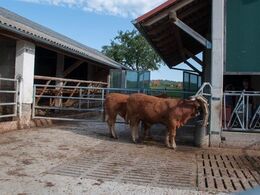 Det ses, at udendørsarealet er populært