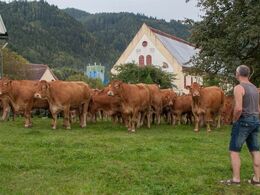 Et herligt syn med de flotte bygninger og skovklædte bjerge i baggrunden