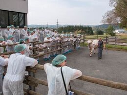 Kønt syn med danskerne i onesize engangskedeldragter, hårnet og overtræksfodtøj..!!
