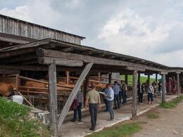 Overdækket foderbord