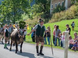 De første af de pyntede køer - disse har den helt store opsats