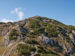 Målet er toppen i midten af billedet - det klarede kun de seje