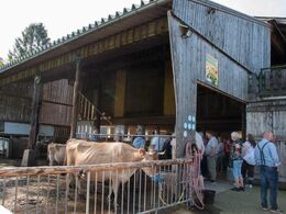 Løsdriftsstalden set udefra - køerne var holdt hjemme for at vi som gæster skulle se dem