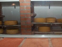 Et kig (ligeledes gennem rude) til ostelageret, hvor de faste oste modner