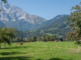 Indbegrebet af Østrig - bjerge, frodige græsmarker, græssende kvæg og spredte bebyggelser