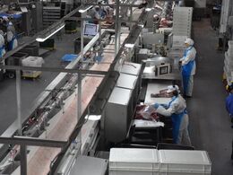 Et blik ud over hvor udskæring og sortering foregår.