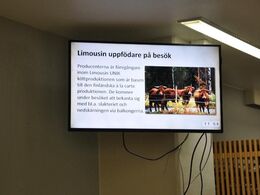 Medarbejdere på slagteriet er blevet orienteret om vores besøg på storskærme rundt omkring i gangene.