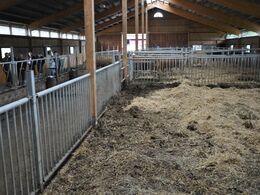 Fredrik og Sandra har bygget stald for 3 år siden, en dejlig stald, bygget i nåletræ.