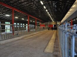 Flotte, moderne staldbygninger var der også.