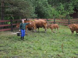 Agathe, som står for kvægavlen på godset, var lige så glad for at fortælle om dyrene, som vi var for at høre hende fortælle med hendes smittende entusiasme.