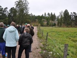 Foldene ligger i flot kupperet terræn med klipper stikkende op hist og her.