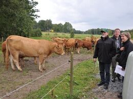 På Hjälshammars Limousine ønsker de at avle hen imod lidt større dyr end de førhen har haft, forlød det.