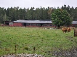 Der bliver gjort noget ud af at få staldene til at se pæne ud udefra her i landet.