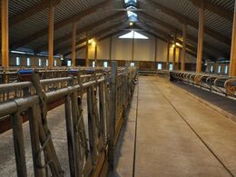 Godset forpagtes og Kong Carl XIV Gustav og drives i samarbejde med den svenske landbohøjskole. Stalden er tomme på denne tid af året, hvor dyrene er på fold.