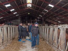 Med 74 køer i besætningen var der meget at se på under åbent hus