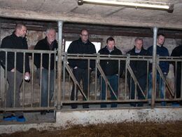 Verner Josefsen (nr. 2 fra venstre) viser rundt i stalden og fortæller både om dyrene og om den renovering af stalden, som har fundet sted.