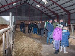 I midten bredt foderbord