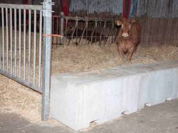 Disse betonklodser holder dybstrøelsen på plads i den yderste sti