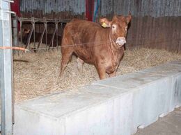 Hov, der er da vist ikke strøm på !!