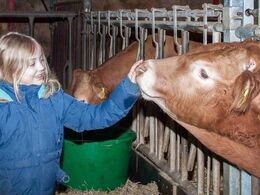 Sød pige møder sød limousinetyr