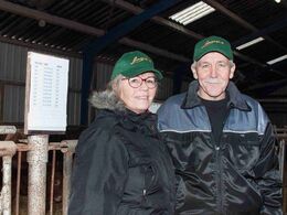 Hos Vidtskue Limousine ved Hammel i område midt er det Jette og Klaus Bisgaard, der er værter