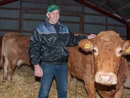 Klaus med yndlingskoen