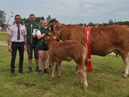 Borre Flicka – bedste ko 3-5 år, bedste hundyr, bedste Limousine fra Bøgely Limousine v/Tommy Jessing, Brørup