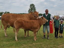 Lindegården Dolly – bedste ko over 5 år fra Allan Kragh Madsen, Randers SV