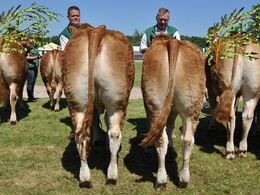 Bedste par fra Kloster Limousine v/Nina & Lars Kloster, Langå