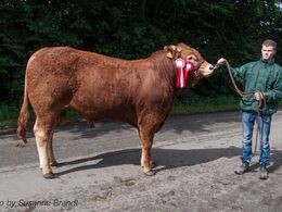 1614 – Randers Limos – fra Simon Thaysen Smidt, Ferritslev Fyn