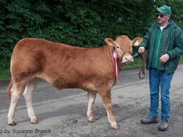 1631 – Klegvanggård Leonnora – fra Erik Kjær Carstensen, Brørup