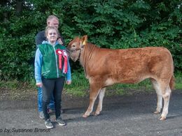 1632 – Lindholm Lykke – fra Carsten Toft, Nykøbing M