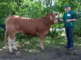 1648 – 43175-00431 – fra Bent Svenning Jessen, Brørup