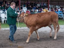 1649 – Kloster Louvre P – fra Bent Kloster, Vojens