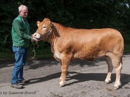 1666 – Damgaard Lotus P – fra Karsten Laursen, Juelsminde