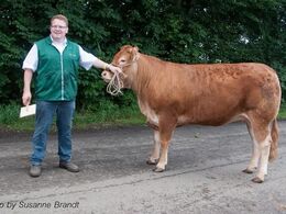 1684 – Granly Krystal – fra Bent Kloster, Vojens