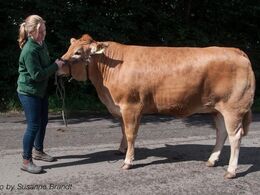 1696 – Grunnet Kappa – fra Karsten Laursen, Juelsminde