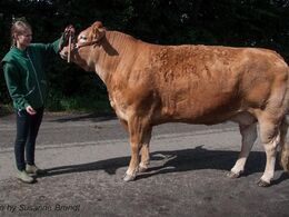 1716 – Gandrup Freja – fra Lars Juellund, Arden