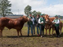 Bedste hundyr og bedste handyr – fra Tommy Jessing, Brørup