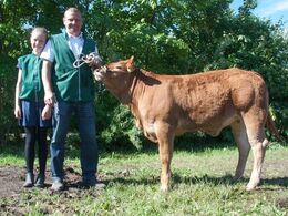 1613 - Lindegården Molly – fra AP Kragh Madsen, Randers SV