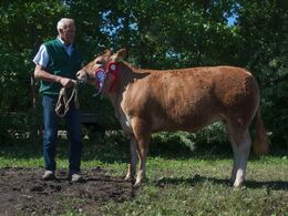 1638 - Engtoftegård Monalisa – fra Anders Lange, Mørke